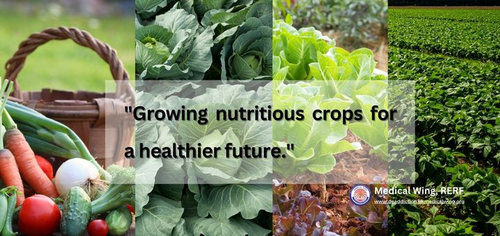 "Growing nutritious crops for a healthier future."