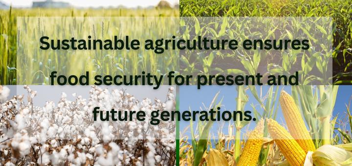 Sustainable agriculture ensures food security for present and future generations.